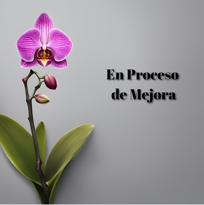 imagen_2025-01-03_173523461