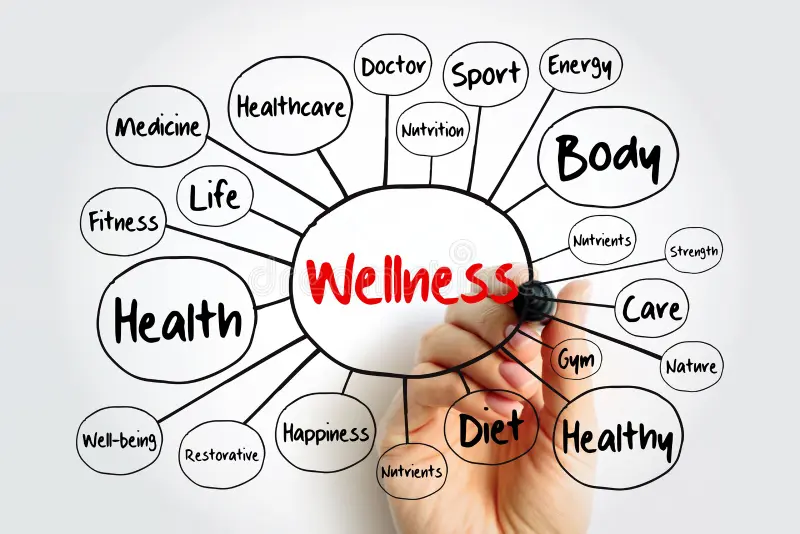 wellness-mind-map-flowchart-marker-business-concept-presentations-reports-wellness-mind-map-flowchart-marker-236901177